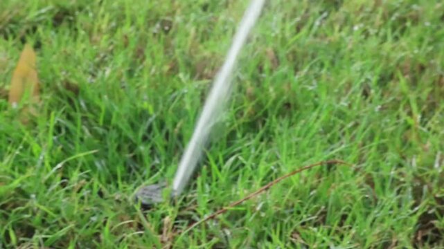 Splinker irrigates lawn near house, watering lawn grass.