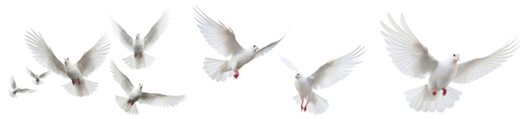 Obraz premium Flying white dove png cut out element set, transparent background