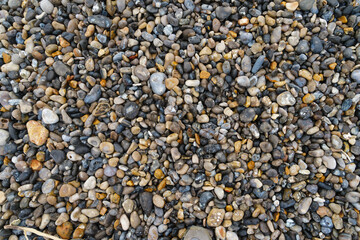 Diverse textures of smooth river pebbles in a natural outdoor setting showcasing earthy tones and varied shapes under natural light