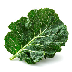 Naklejka premium Single vibrant green kale leaf isolated on white.