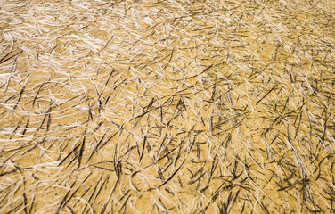 old weathered yellow fiberglass board texture. worn glass fiber soundproof insulation sheet wall panel close up background