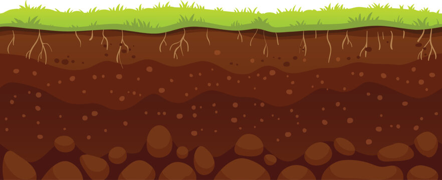 Cartoon illustration of soil layers with grass growing on top, roots visible underground, and stones at the bottom, representing a healthy ecosystem