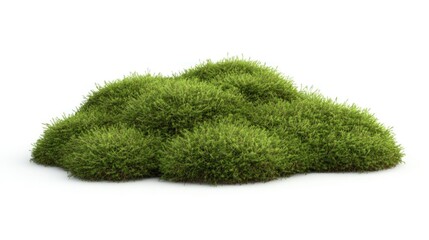 Fototapeta premium Lush green moss pile isolated on white.