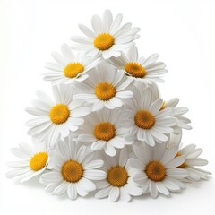 Obraz premium A Beautiful Arrangement of Fresh White Daisies with Vibrant Yellow Centers on a Soft White Background for a Bright and Cheerful Atmosphere