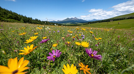 Obraz premium vibrant meadow filled with wildflowers in full bloom, showcasing variety of colors under clear blue sky. picturesque mountains in background enhance serene landscape