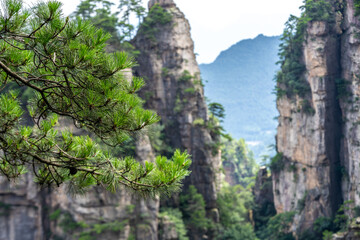 Zhangjiajie scenic area in Hunan Province, China