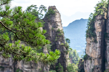 Zhangjiajie scenic area in Hunan Province, China