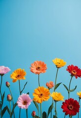 Fototapeta premium Beautiful Wild flowers in a sunny spring day