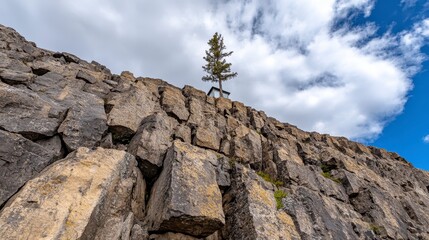 Fototapeta premium A solitary tree grows atop a rocky cliff, surrounded by blue skies and clouds, showcasing resilience in nature.