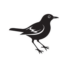 Silhouette Vector bird and White Background