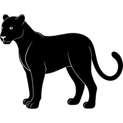 illustration of a leopard