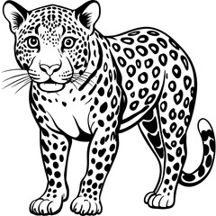 leopard cartoon isolated on white