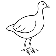 illustration of a bird