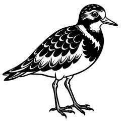 bird on a white background