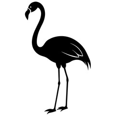 Obraz premium flamingo silhouette isolated on white