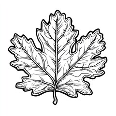 Detailed Line Drawing Of A Single Leaf