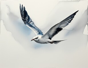 A seagull is flying in the sky