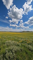 Vibrant sunflower field under a bright sky in summer