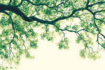 Serene Canopy Lush Green Tree Branches Overhead View Tranquil Nature Scene Peaceful Summer Day Sunlight