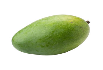 Single Unripe Green Mango, Transparent Background