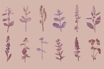 Minimalist Botanical Pattern with Soft Pastel and PANTONE 17-1230 Mocha Mousse Tones