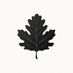 Obraz premium Black Leaf Silhouette Detailed Veins Nature Design