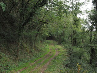 camino