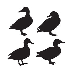 silhouettes of ducks