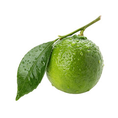Fresh Lime with Leaf and Water Droplets, Transparent Background