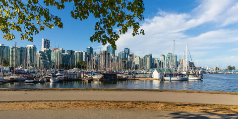 Fototapeta premium Views of Vancouver and Vancouver Harbor from along the Stanley Park Seawall in British Columbia, Canada