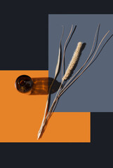 Flores secas   decorativas naturales composición floral  sobre fondo naranja y gris. Vista superior