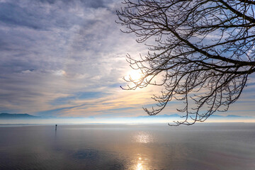 Wintersonne und Nebel am Bodensee bei Lindau