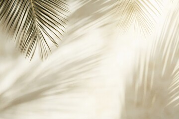 Obraz premium Palm leaf shadows on beige background. (2)