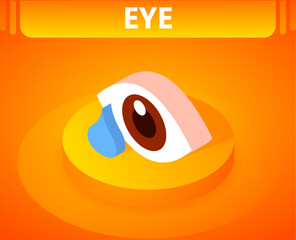 Eye isometric icon. Vector illustration. 3d concept