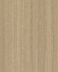 The image appears to be a high-resolution scan or digital representation of a wood surface.