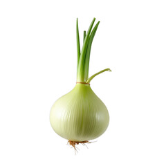 A single green onion with a white bulb on a black background