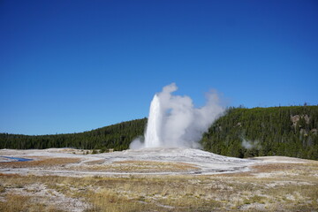 Yellowstone National Park