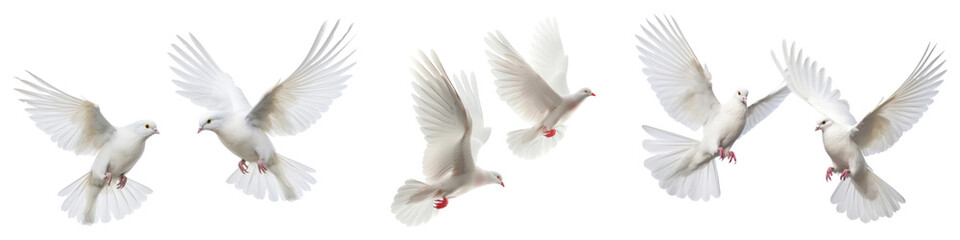 Obraz premium Flying white dove png cut out element set, transparent background