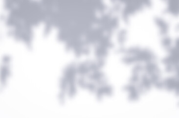 Gray shadow of leaves and branches on a white wall