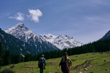 A group of friends are walking along a mountain path in a mountain valley against a backdrop of snowy peaks. Hiking in the Tien Shan Mountains in spring