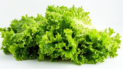Fototapeta premium A bunch of fresh green lettuce leaves.
