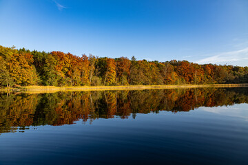 Fiery Autumn Lake Reflection, Brilliant autumn foliage mirrored in calm lake waters, displaying vivid gold, orange, and red hues under a clear, crisp sky