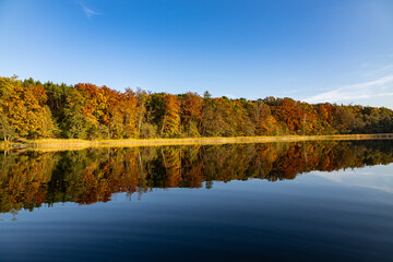 Majestic Autumn Tapestry, A radiant forest of gold, orange, and red leaves mirrored on serene lake waters under a crisp, clear sky, showcasing nature’s seasonal splendor