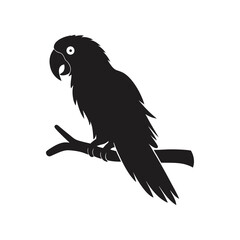 Elegant Silhouette of a Parrot Perched on a Branch
