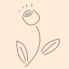 doodle lines illustrated a rose on beige background