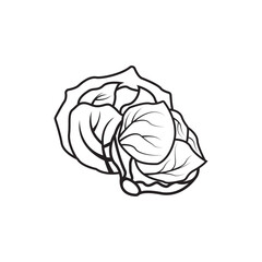 Cabbage icon vector design template