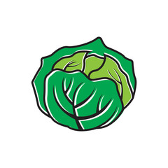 Cabbage icon vector design template