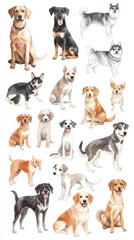 Watercolor Collection of Diverse Dog Breeds in Sitting and Standing Poses