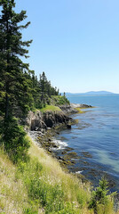 Fototapeta premium Scenic coastal view with rocky shoreline and lush greenery under a clear blue sky.