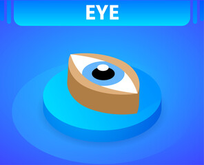 Eye isometric icon. Vector illustration. 3d concept